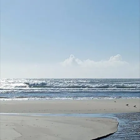 Accommodatie bij particulieren Loft Luminoso Con Terraza En Vigo